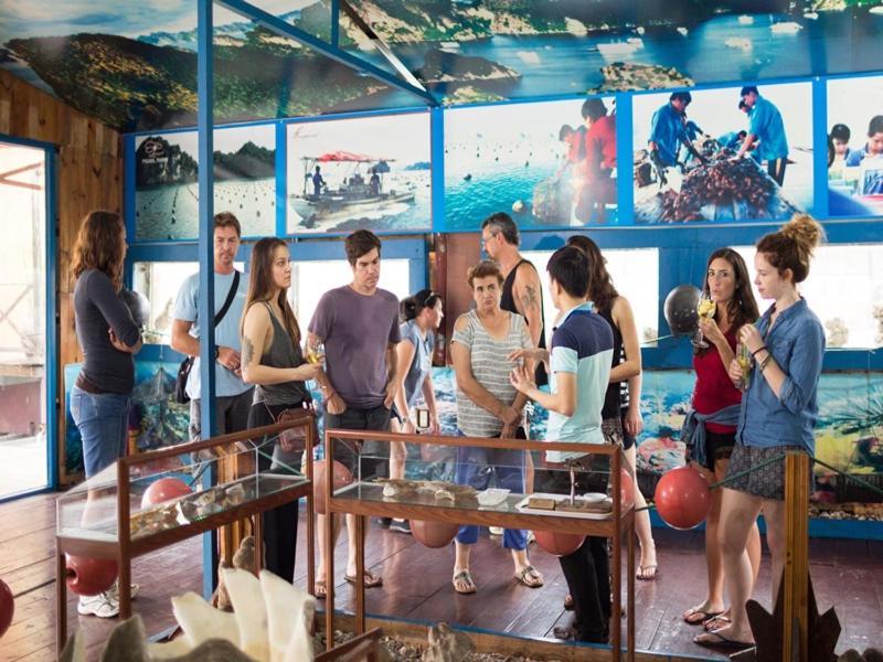 Отель Charm Boutique Cruise Халонг Экстерьер фото
